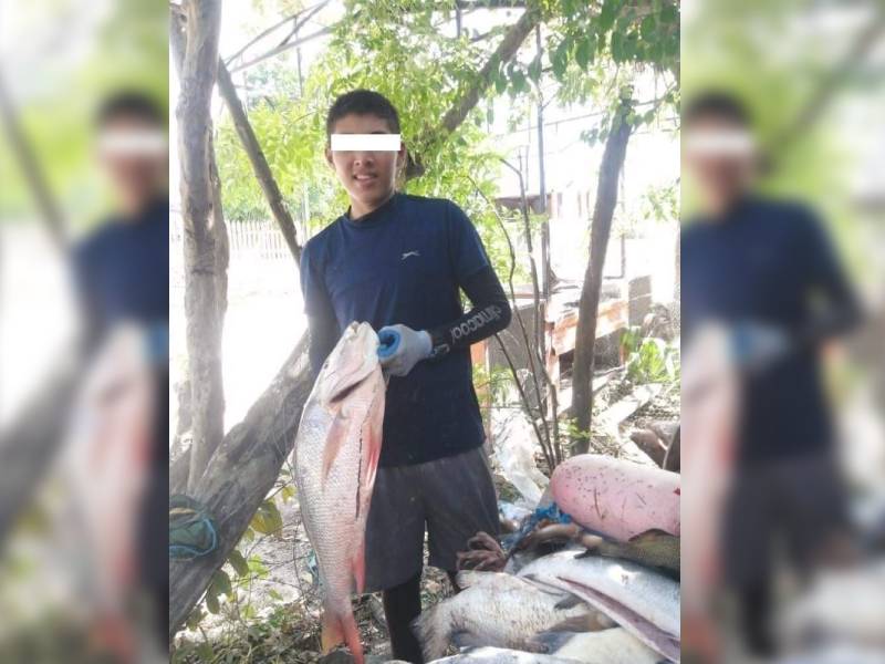 Adolescente fue atacado por un tiburón en las costas de Mahahual