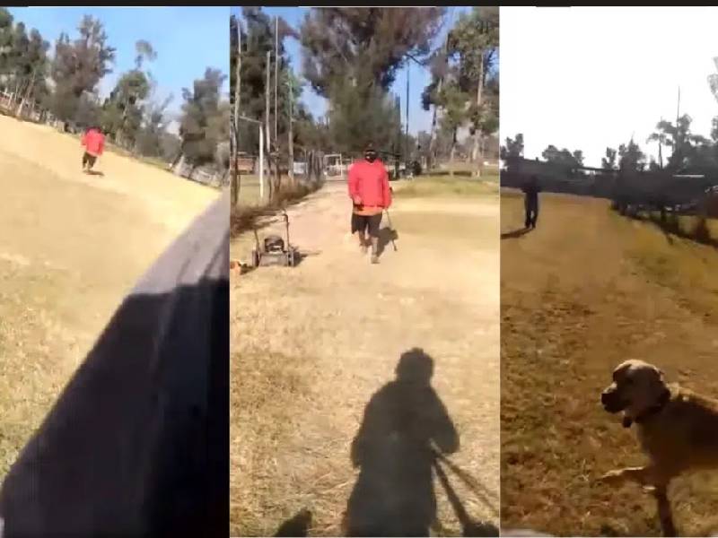Video. Sujeto ataca a un joven cuidador y sus perritos en un deportivo