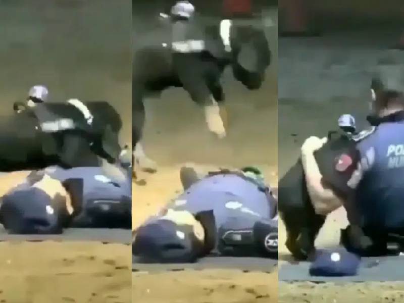 Perrito policía sorprende con su técnica de primeros auxilios y se viraliza