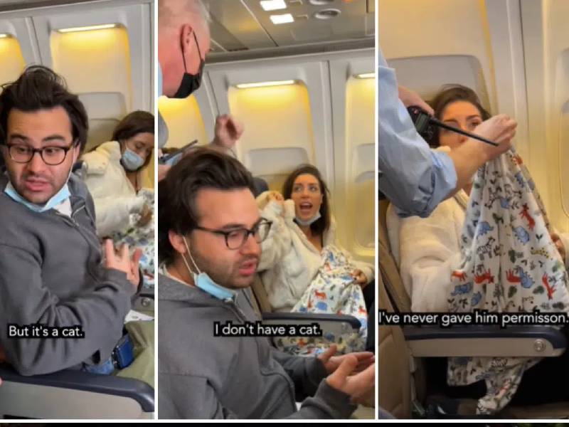 mujer hace pasar a un lince por bebé en un avion