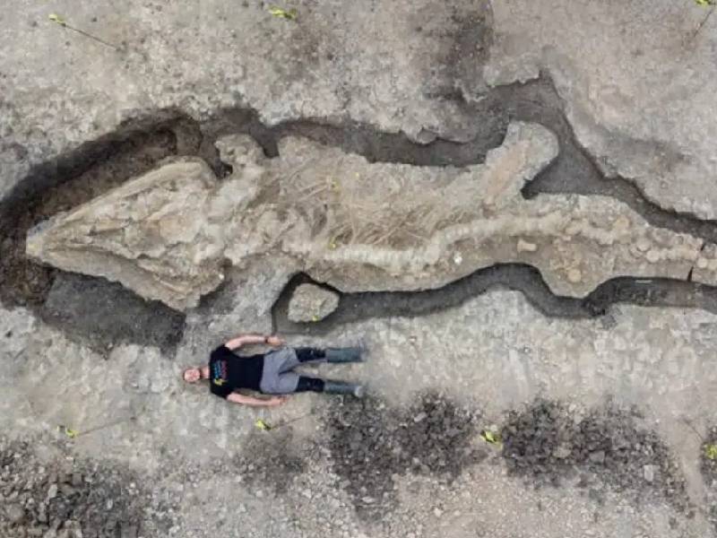 Hallan enorme fósil de un ÔÇÿdragón marinoÔÇÖ de hace 180 millones de años