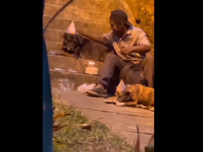 Video. Hombre en situación de calle celebra el cumpleaños de sus perritos