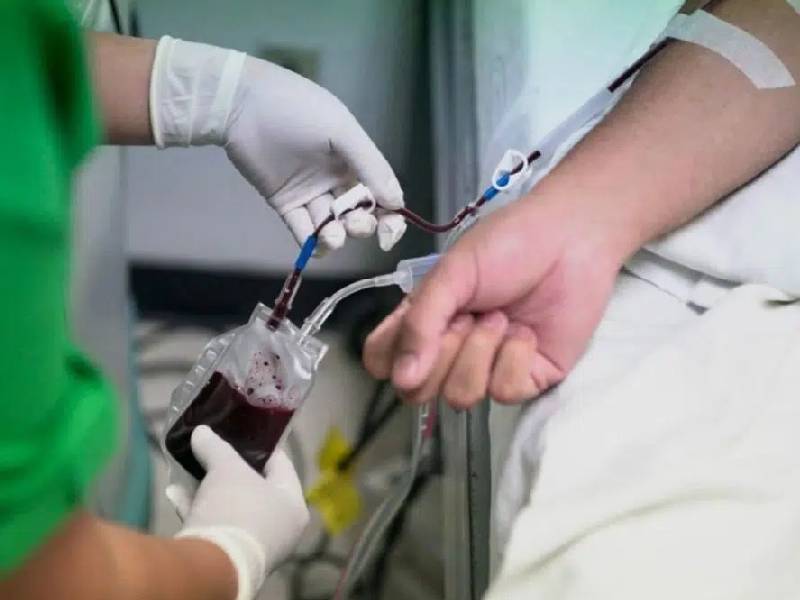 Francia permitirá que los homosexuales donen sangre sin condiciones
