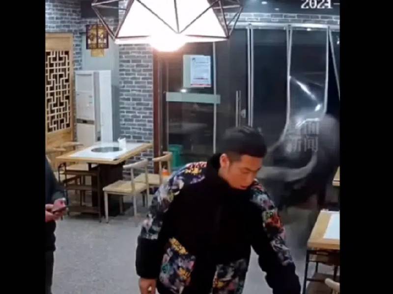 VIDEO: Búfalo irrumpe en restaurante y embiste a dueño