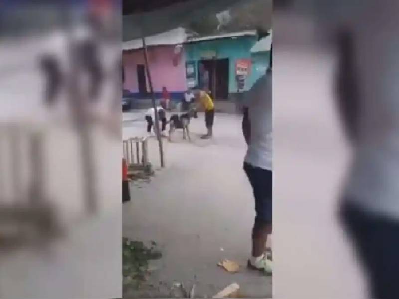 Video: Denuncian a hombres que amarraron cohetes a una cabra