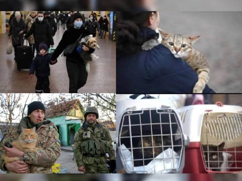 Comparten fotos de ucranianos huyendo con sus mascotas