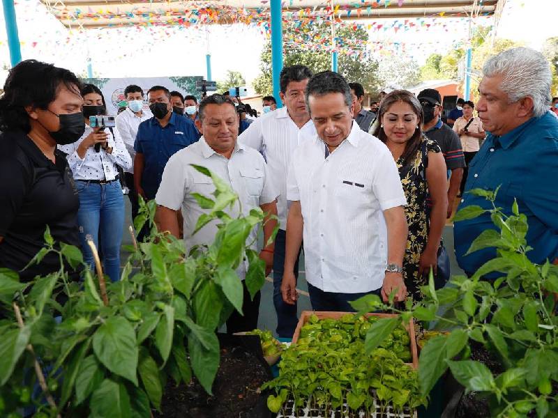 El campo de Quintana Roo recobra su dinamismo y crecimiento económico