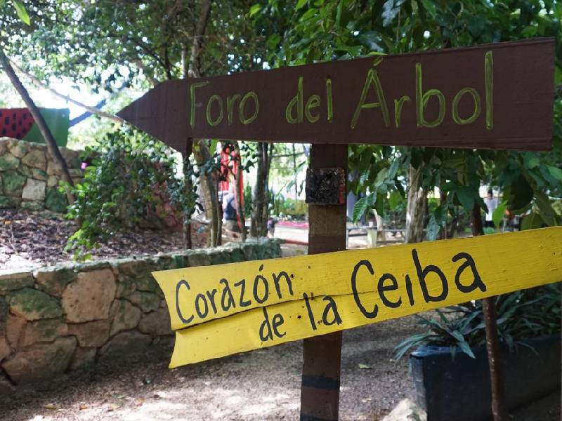 Parque "La Ceiba" quedará bajo resguardo de organización civil