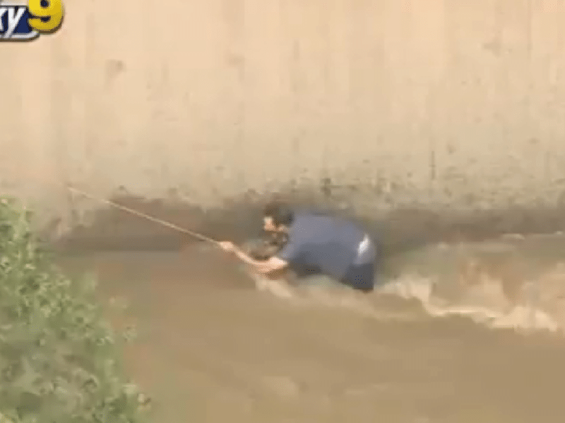Videos: Así fue el rescate de una mujer y su perrito arrastrados por la corriente de un río