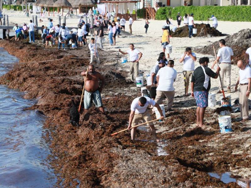 Refuerzan limpieza de playas en Isla Mujeres
