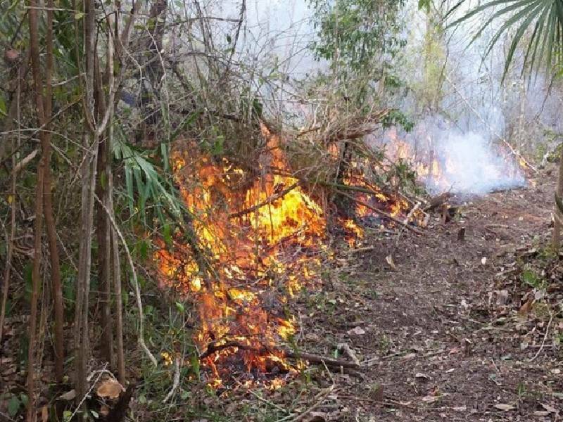 Liquidan al 100% tres incendios forestales en Quintana Roo