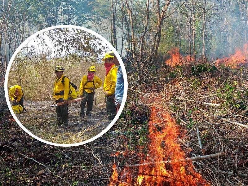 Registra Q.Roo 11 incendios forestales durante 2022; tres están activos