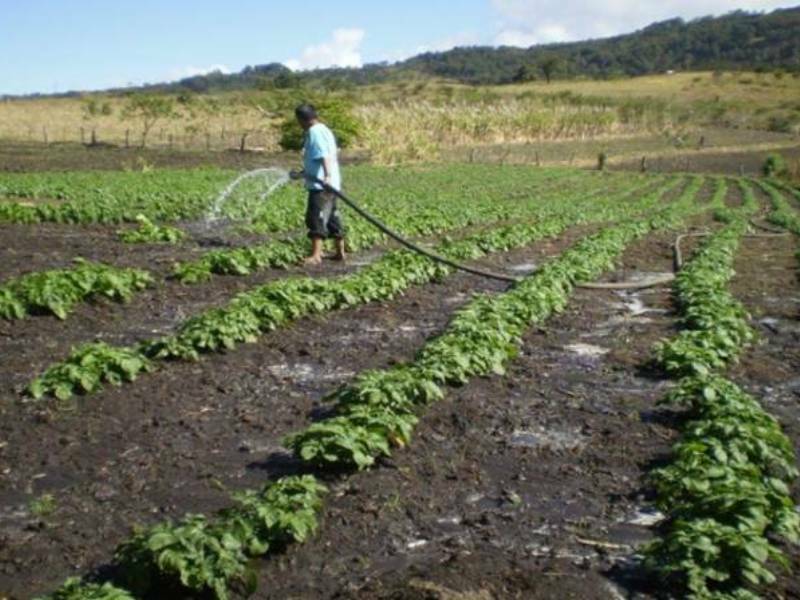 Reforzarán procuraduría agraria de QR por Tren Maya