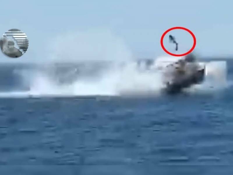 Video: Bote choca con una ballena; hay seis lesionados entre ellos tres menores