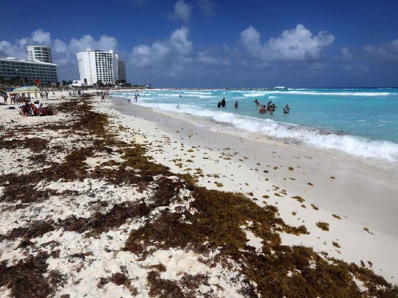Se pronostica que más de 32 mil toneladas de sargazo se acercan al Caribe Mexicano
