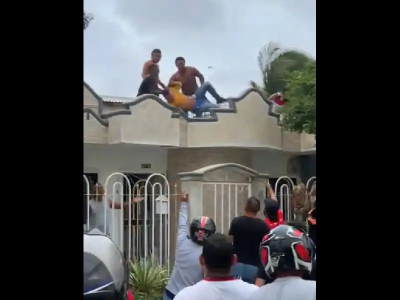 ¡Tíralo!!; vecinos lanzan a ladrón desde el techo de una casa