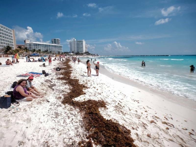 Excesivo sargazo en centro y sur de Quintana Roo