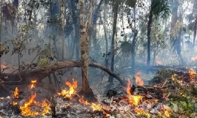Se mantiene alerta ante la posibilidad de iniciar incendios forestales