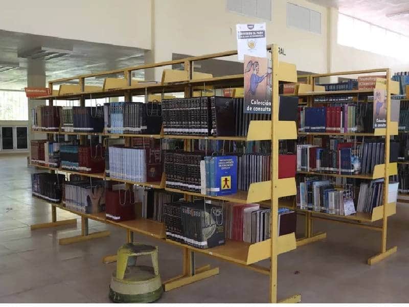 Más de 3 mil libros de biblioteca terminaron en recicladoras