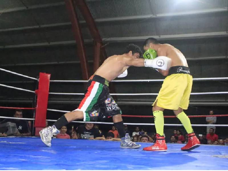 Chetumal será sede de peleas de box profesional