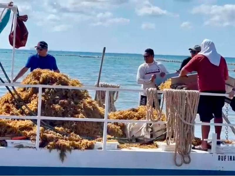 Ayuntamiento de Solidaridad pide a la Secretaría de Marina operación de sargaceras