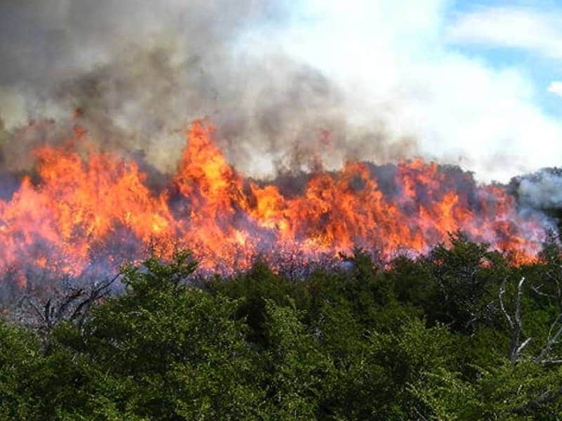 Crecen 183.8% hectáreas incendiadas en 2022