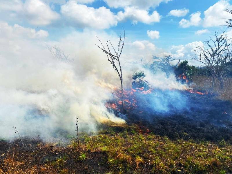 Lluvia pone fin a comatos de incendios en Lázaro Cárdenas