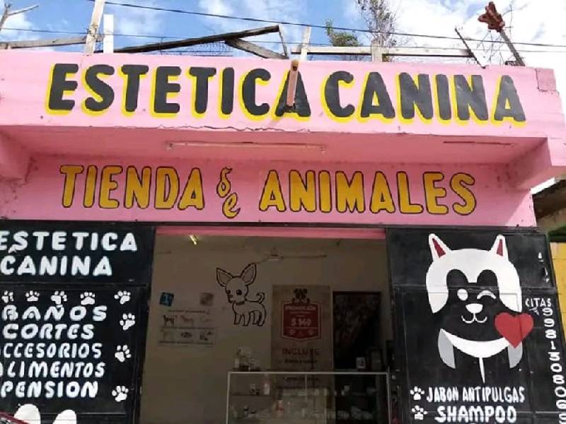 Detectan 37 veterinarias "Patito" en Cancún