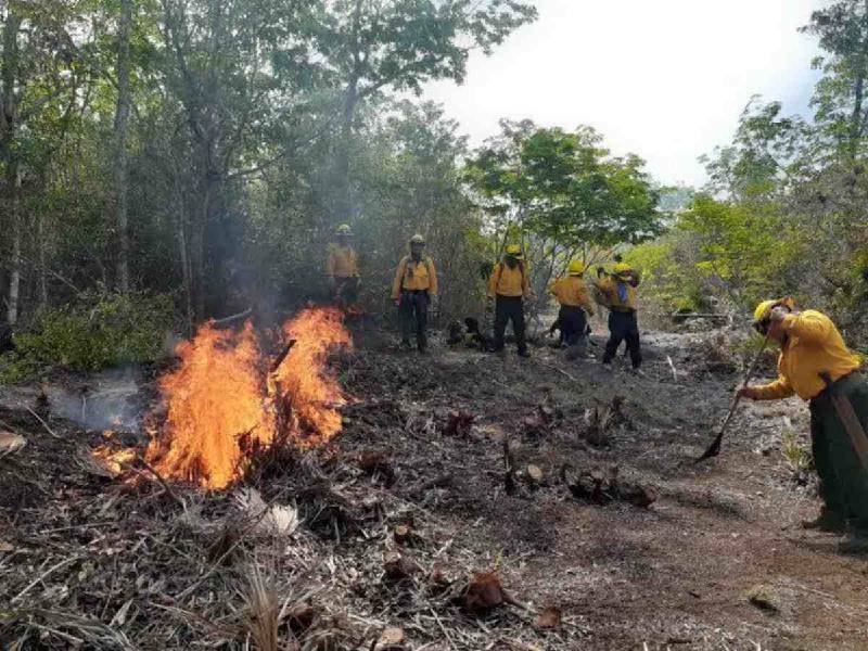 Autoridades de los tres niveles siguen atentos a los incendios forestales