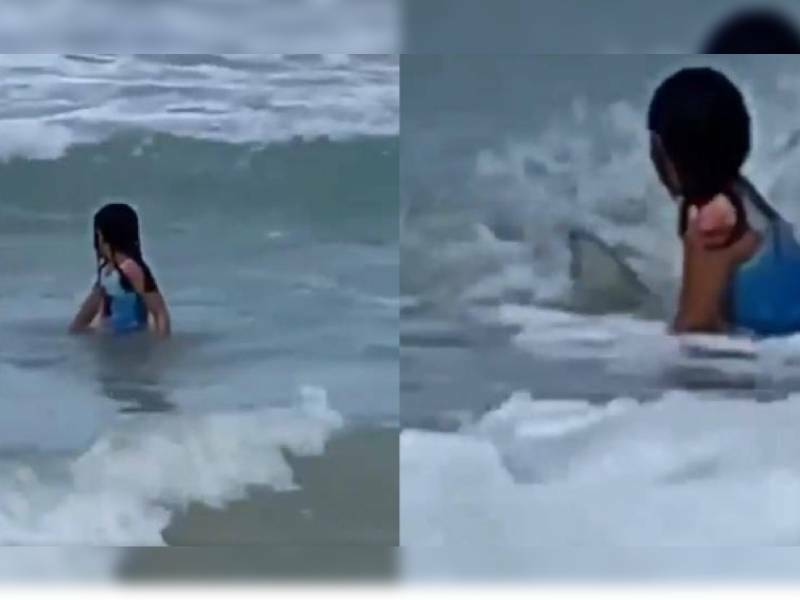 VIDEO: Madre capta a su hija pequeña huyendo de un tiburón