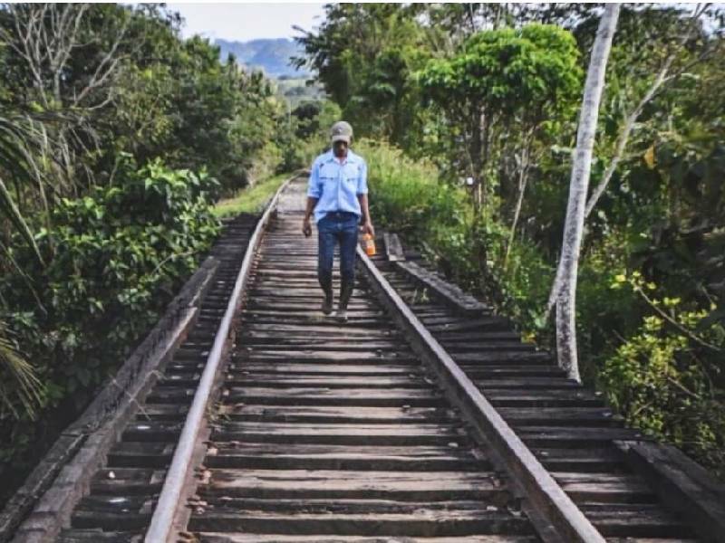 Gobierno presentará recursos para que proceda amparo contra Tren Maya