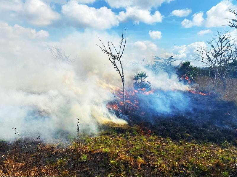 Controlan incendios de tres municipios tras las precipitaciones