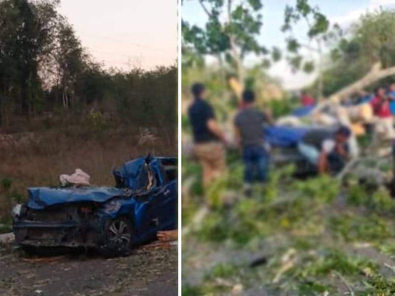 ¡Lamentable! Cae árbol encima del vehículo en el que viajaba en la Mérida-Cancún