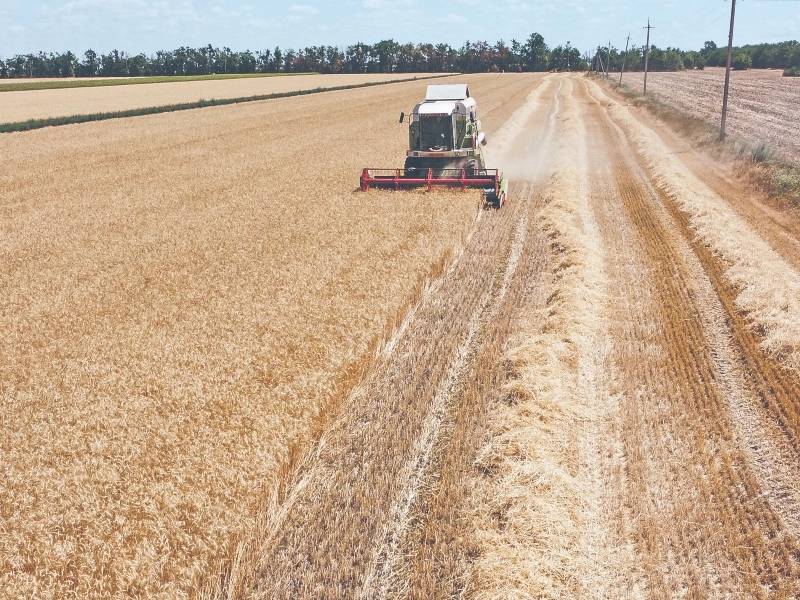 Destraban Rusia y Ucrania suministro de granos