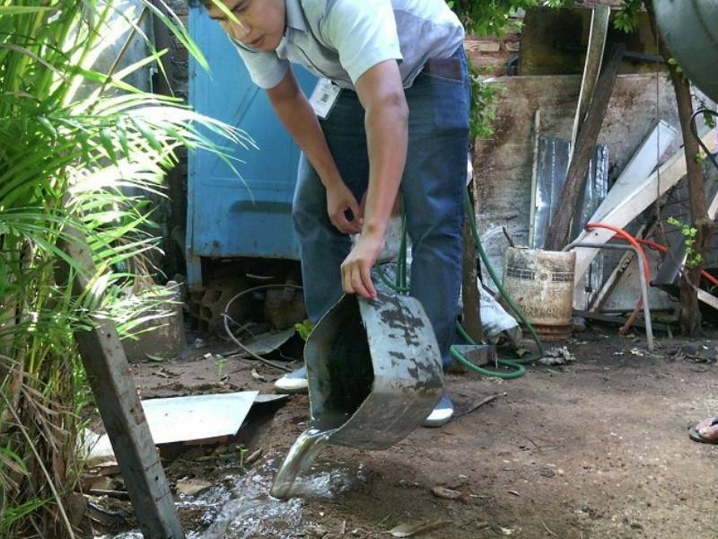 Exhortan a prevenir casos de dengue ante lluvias registradas 