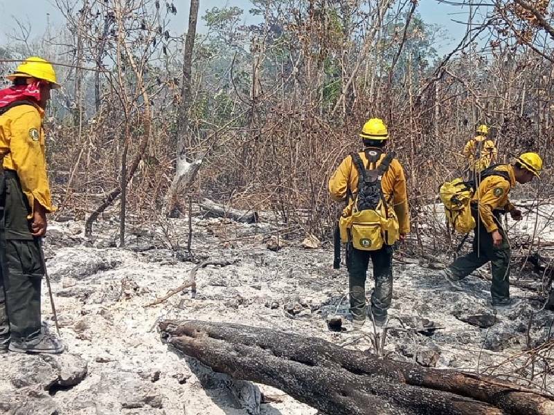 Ha quedado extinto el fuego forestal en 7 mil 554 hectáreas en Quintana Roo