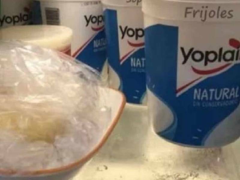 ¿Es seguro guardar restos de comida en envases de yogurt? Esto dice profeco