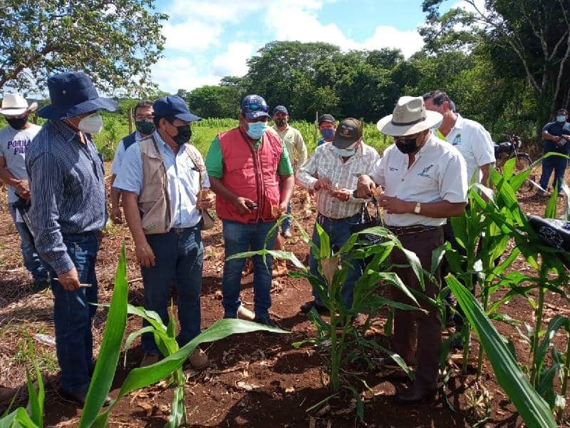 Quintana Roo se suma a la Península de Yucatán para impulsar el registro de Milpa Maya ante la FAO