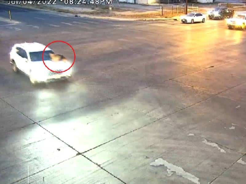VIDEO: Madre se abalanza sobre auto para evitar robo de sus hijos