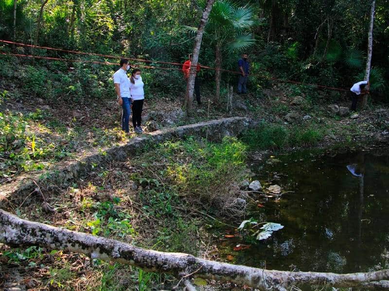 Ayuntamiento de Benito Juárez procura conservación permanente de cenotes urbanos