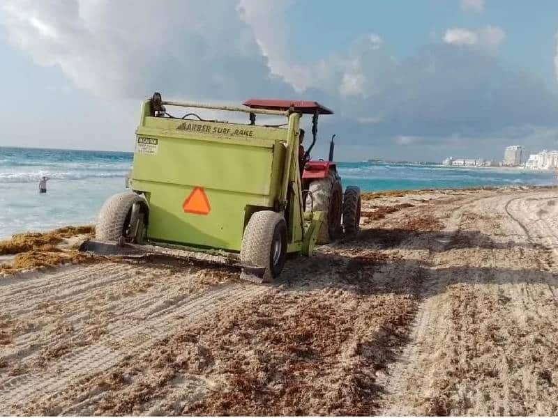 En Cancún han recolectado más de 4 toneladas de sargazo
