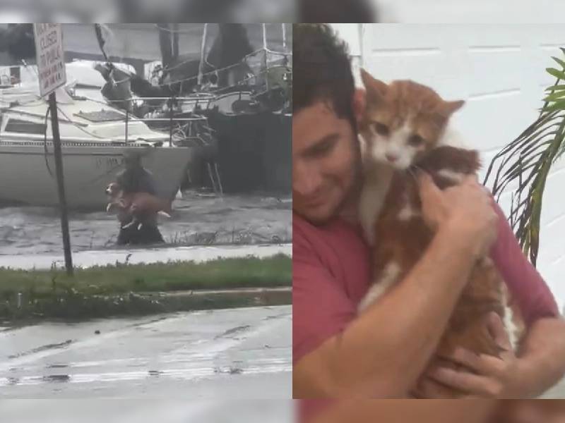Video. ¡Se salvó! Hombre rescata a perrito del huracán Ian, en Florida