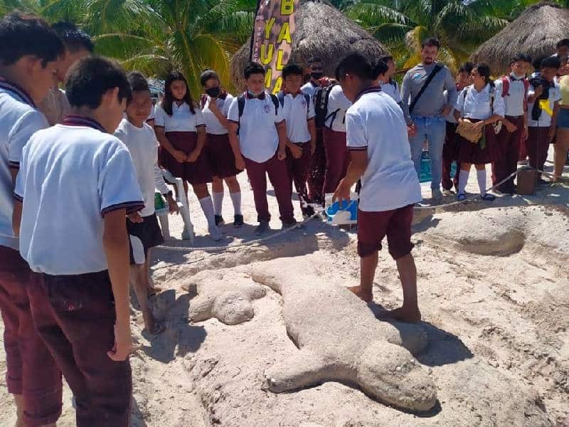 Celebran Semana del Manatí en Quintana Roo con actividades en Holbox