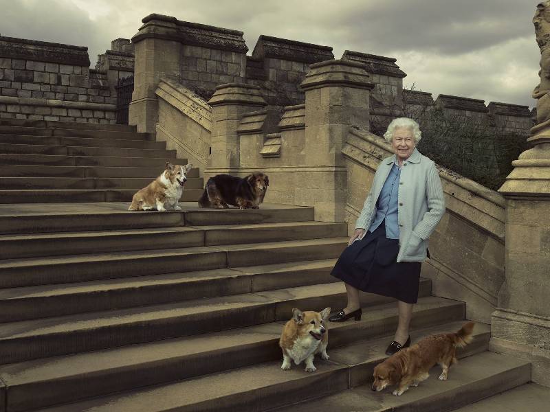 Esto es lo que pasará con los perritos Corgis de la reina Isabel II