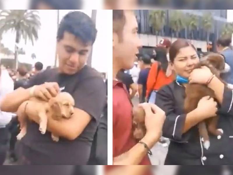 Video. Personal de tienda de mascotas en Jalisco protegió a perritos durante sismo