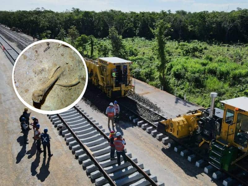 Tren Maya no pasará sobre cueva en la que se localizó un fósil humano: AMLO
