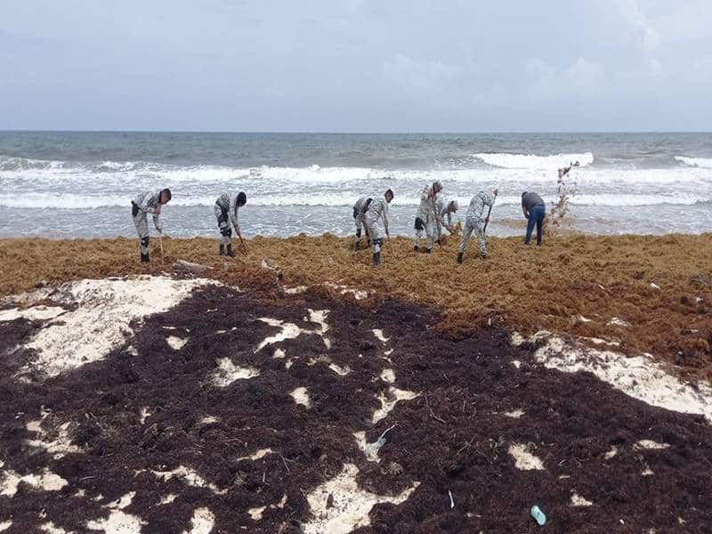 Recalan paquetes con estupefacientes en playa de Cozumel