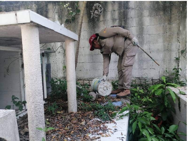 En Quintana Roo se han registrado 220 casos de dengue