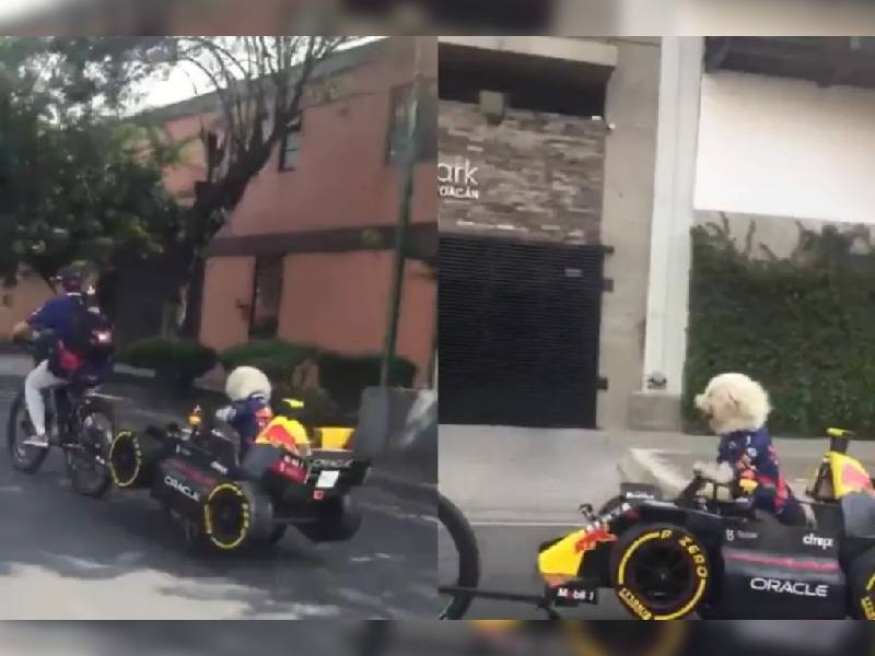 TikTok: Pasean a perrito en “coche de Red Bull” de Checo Pérez