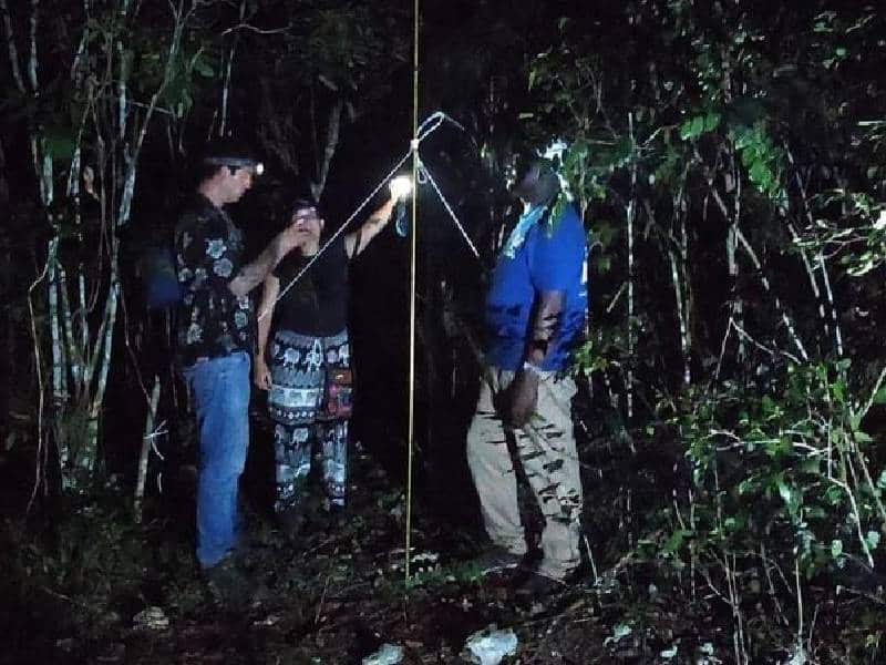 Investigadores de murciélagos de Kenia realizan trabajo de campo en Cozumel